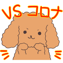 vs corona -toy poodle sticker