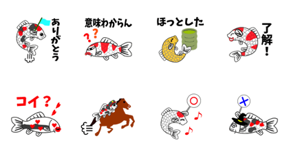 Nishiki Koi(Asian Carp)