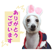 Tamocyu kun