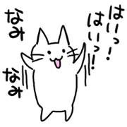 Nami's name sticker