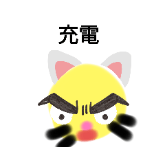 黄み猫ちゃん1