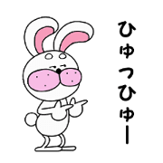 eyeblow rabbit