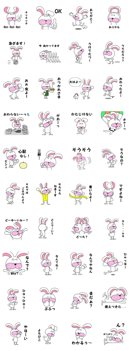 eyeblow rabbit