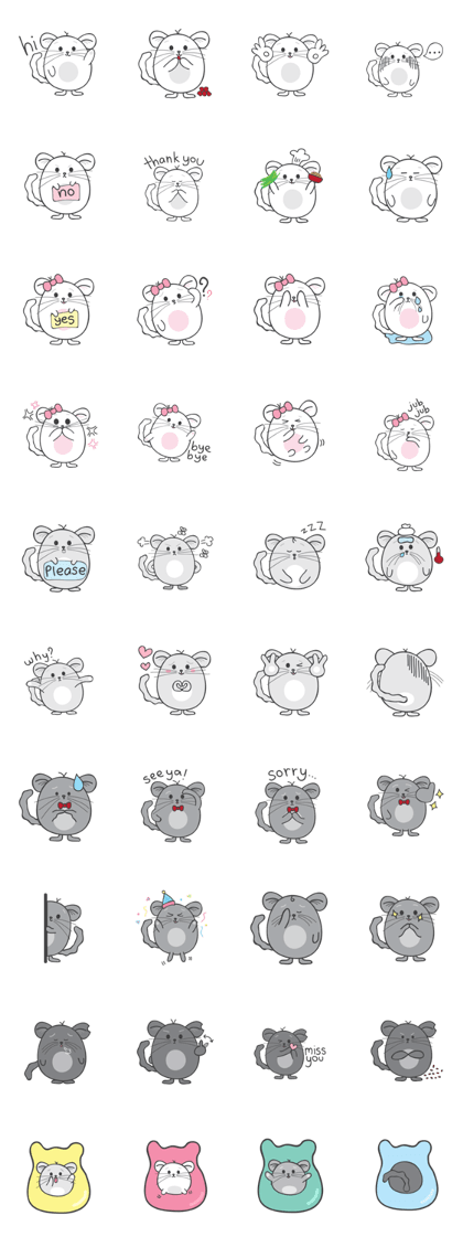 Happy Chinchillas