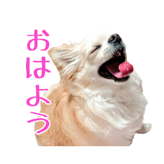 G umi_20210211165853