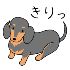 Dachshund Nana's Stickers Vol.2