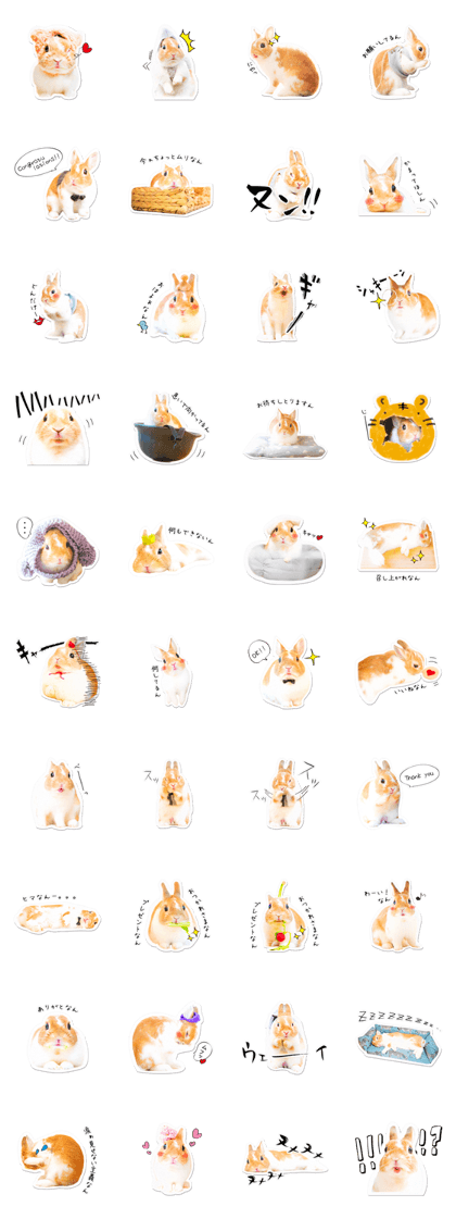 Rabbit Tiger