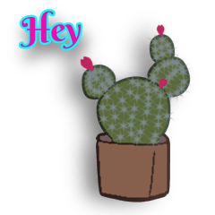 Cactaceae