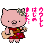Ukulele pig