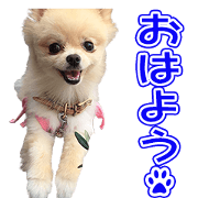 JENCHAN'S Sticker