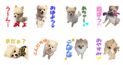 JENCHAN'S Sticker