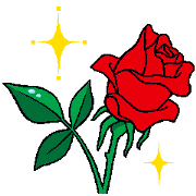 RED ROSE in German