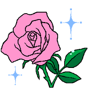 PINK ROSE in German
