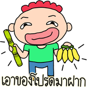 Mr. Paruay 2