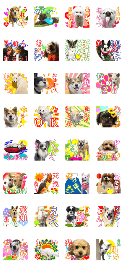 Rescued dogs 5