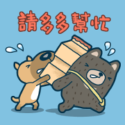 Dog and Bear working day