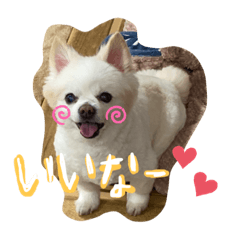 Risa_20210211230635
