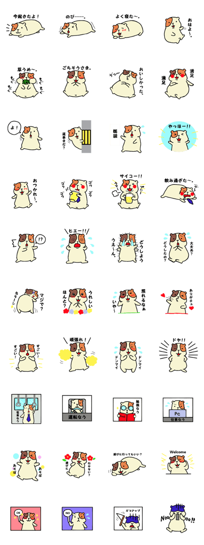 Home of guinea pig.2