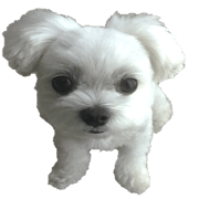 My name is LATTE part2