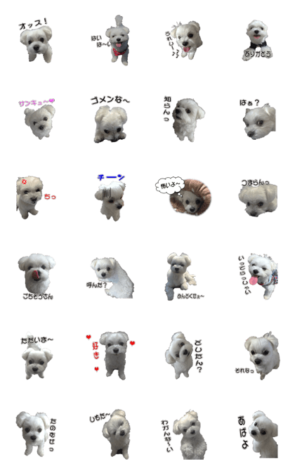 My name is LATTE part2