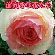 Prospective Flowers