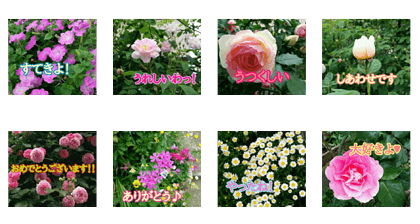 Prospective Flowers