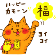 A tea tiger cat brings happiness part1