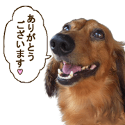 My dogs will convey my feelings.