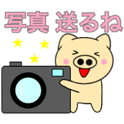 Useable bootan2