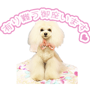 POCCHI'S Sticker