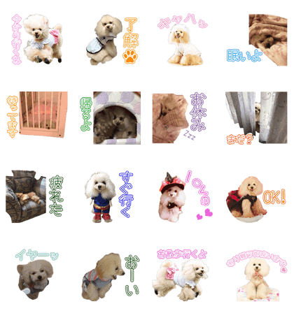 POCCHI'S Sticker