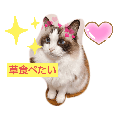 chihiro_20210211215437