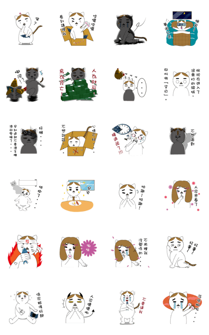 Cat's Showtime