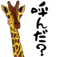 Giraffee and friends 2