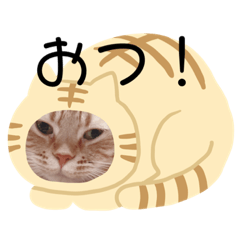 yuriemon2828_20210211235849