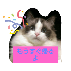 chihiro_20210212030049