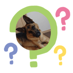 Haruna_20210212110458