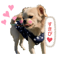 miyuu_20210212082513