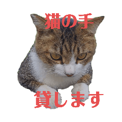 Miki_20210212013921