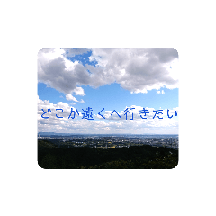 bamboo shoots_20210212131038