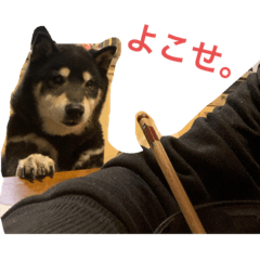 Natsumi_20210212130029