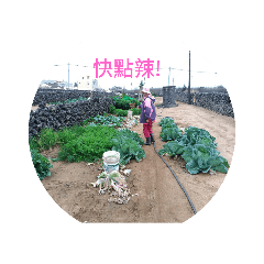 去玩玩