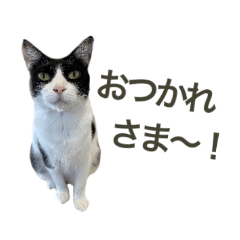 nonnyans sticker