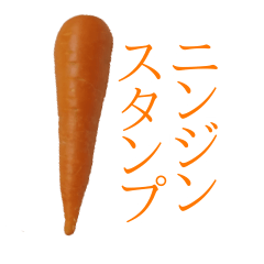 Carrots photo stickers.