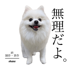 hana_20210212213148