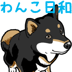 Wanko-Biyori Daily Black Shiba Inu 8