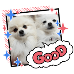 nanami_20210213005129