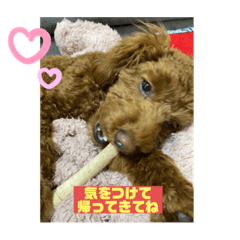 REI_20210213020715