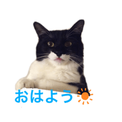 RISA_20210212230856
