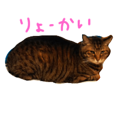 NANAMI_20210212224127